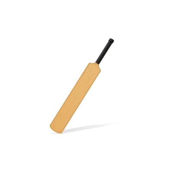 Cricket Bats