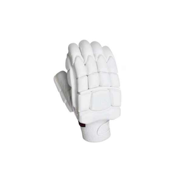 Cricket Gloves