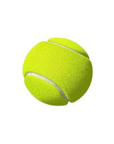 Cricket Soft Balls