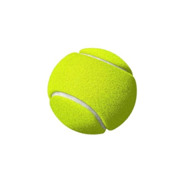 Cricket Soft Balls
