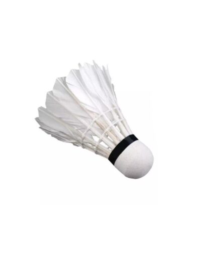 Shuttlecocks