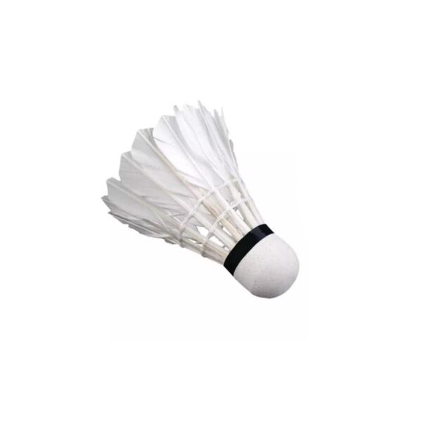 Shuttlecocks