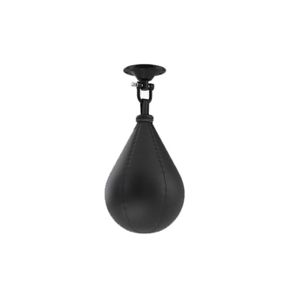 Speed Bags